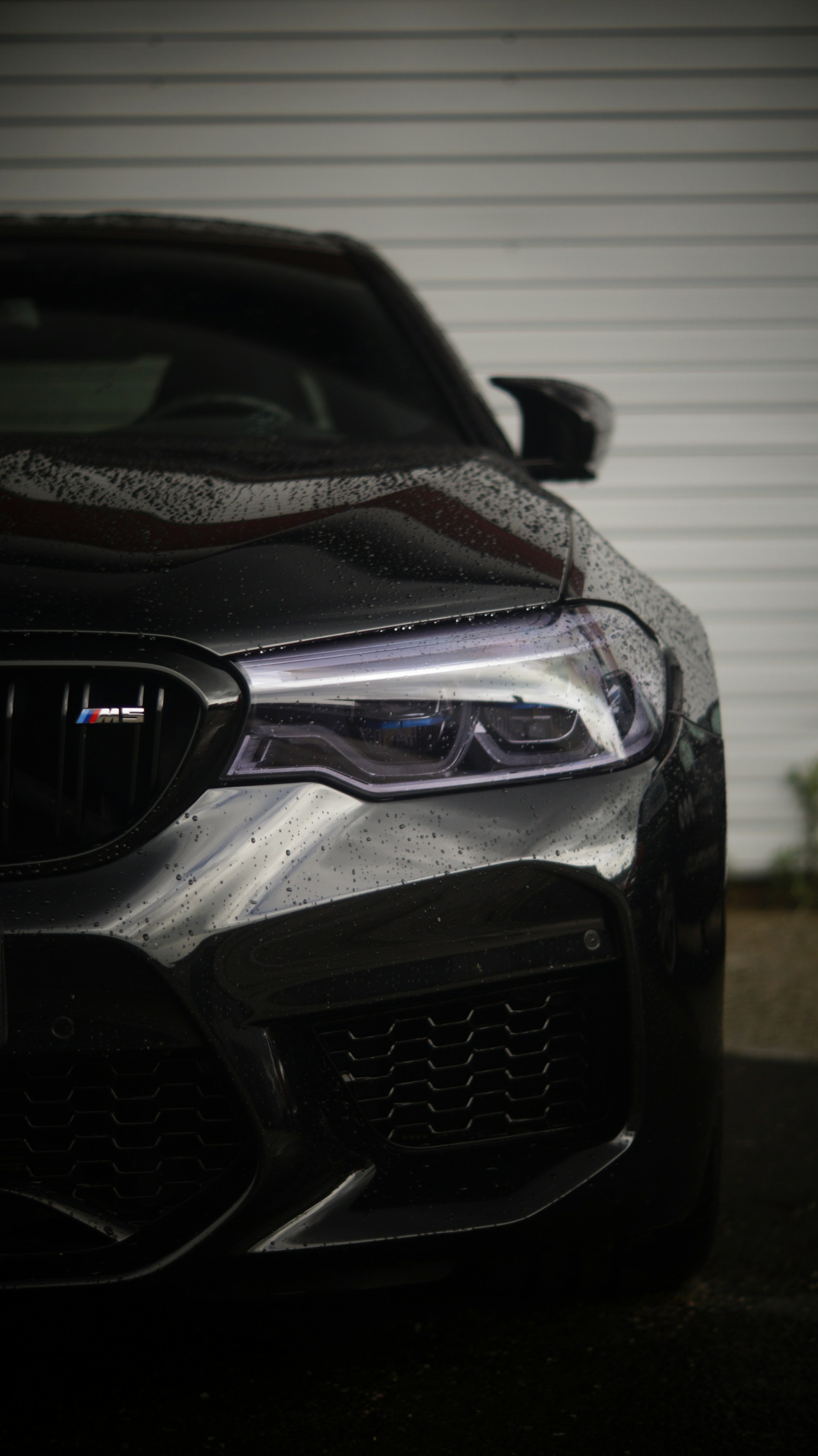 Black BMW M5 freshly detailed